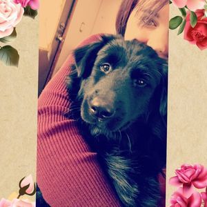 Meet your Posher, Mariah